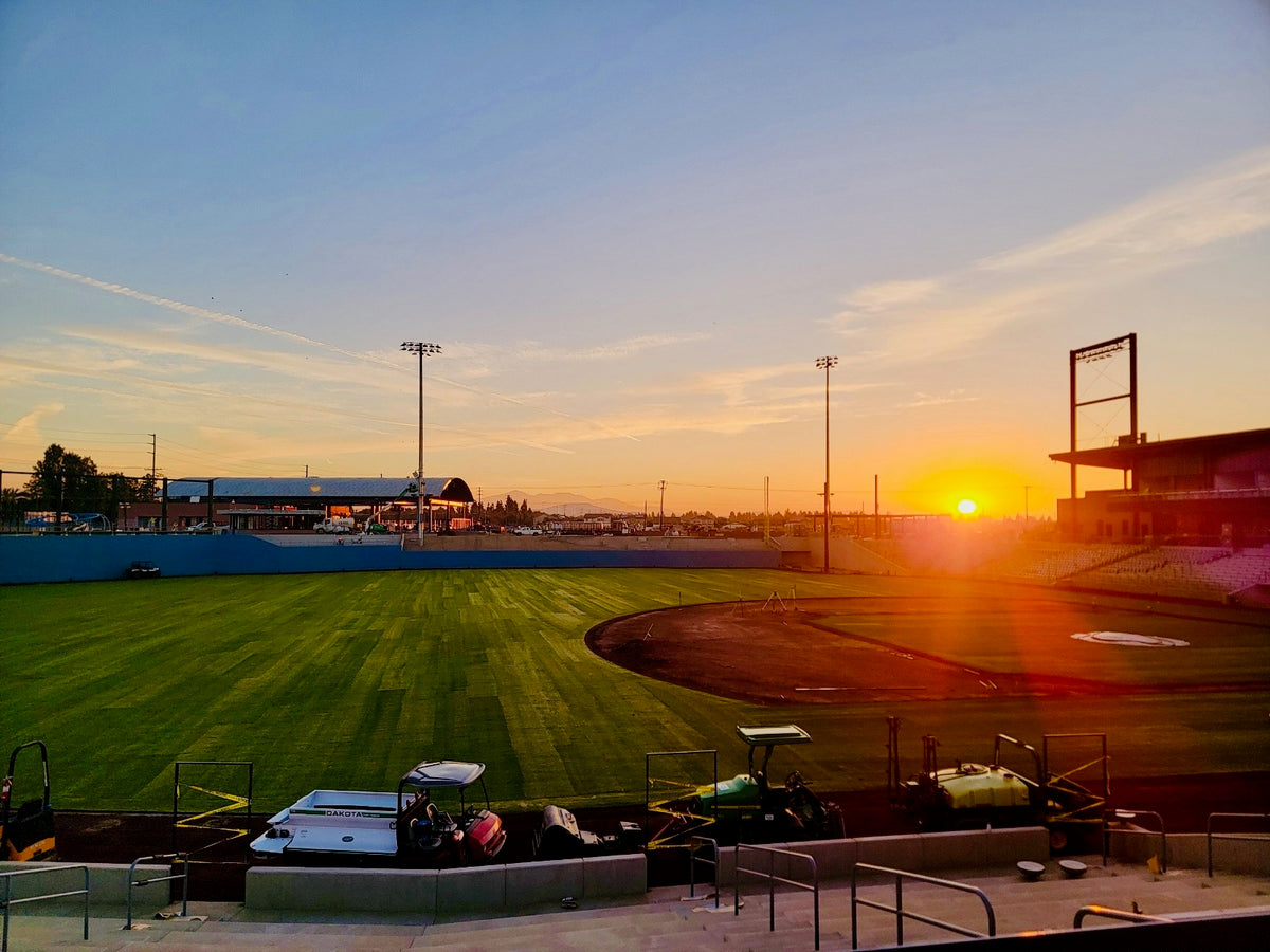 Ontario Ballpark — $250M
